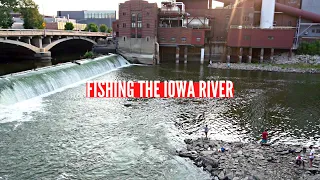 Fishing the Iowa River | My First Time Catching These Fish