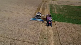 😎Žně 2022- Fortschritt E516B - Case IH Maxxum 💪| Boj o zrno / Harvest | Sklizeň ozimé pšenice 🌾