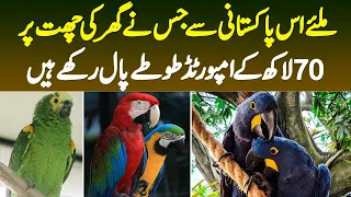 Miliye Uss Pakistani Se Jisne Ghar Ki Chat Par 70 Lakh Ke Imported Parrots Paal Rakhay Hain