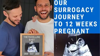 Gay couple surrogacy journey |  embryo creation to IVF to 12 week ultrasound