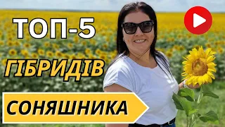 Топ 5 гібридів соняшника під гранстар.