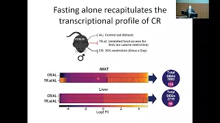 11/18/2022: When a Calorie is Not Just a Calorie:The Regulation of Health and Longevity