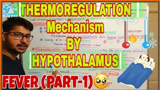 THERMOREGULATORY (temperature regulation)MECHANISM BY HYPOTHALAMUS || Fever part-1