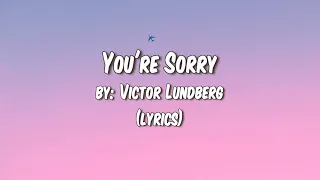 A song by Victor Lundberg- You’re Sorry ft. Astyn Turr with lyrics