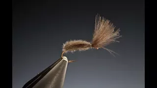 Fly Tying the IOBO emerger with Barry Ord Clarke