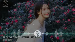 Nửa Đời Tuyết (半生雪) - VÀ TRUNG REMIX | Nhạc Trung Remix Hot TikTok 2022