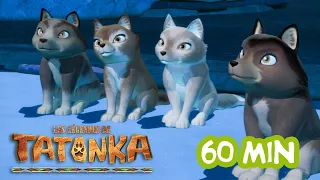 Tatonka Nouvelle Compilation 🐺 La Pomme de Pin | Dessins animés en français