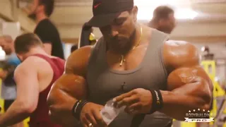 THE BEST ARMS IN BODYBUILDING | ROELLY WINKLAAR