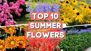 Top 7 Summer Flowers to Transform Your Garden into Your Dream Outdoor Space 🌼✨