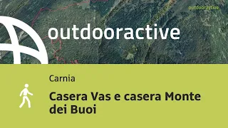 Casera Vas e casera Monte dei Buoi