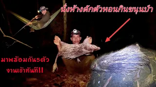 นั่งห้างดักหอนเข้ากินขนุนป่า/ນັ່ງຫ້າງດັກຫອນເຂົ້າກິນໝາກໝີ້້ເທີນ