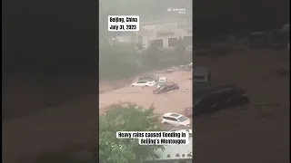 Breaking: Video on China’s social media shows heavy flooding in Beijing’s Mentougou suburbs #门口沟