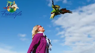 A Military Macaw's Freeflight Journey | Krystal and Zelena