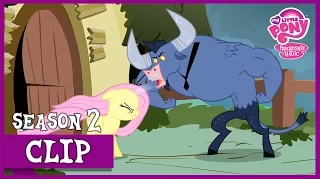 Fluttershy Stands Up To Iron Will (Putting Your Hoof Down) | MLP: FiM [HD]