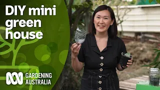 Making DIY mini greenhouses for growing seeds and cuttings | Indoor Plants | Gardening Australia