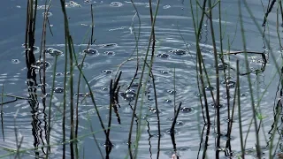 Permafrost is thawing rapidly. How much should we worry?