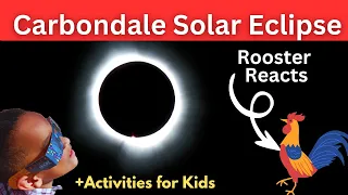 Total Solar Eclipse 2024 Carbondale IL |  Rooster Crows | Fun Eclipse Activities to do with Kids