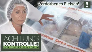 🥩🤢 Verdorbenes FLEISCH nicht entsorgt! Kühltruhe wird zur KEIMSCHLEUDER! | Achtung Kontrolle