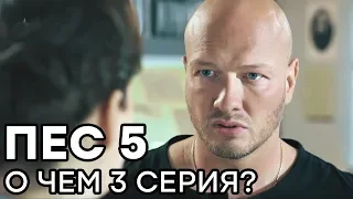 Сериал ПЕС - 5 сезон - 3 серия - О ЧЕМ СЕРИЯ? | СЕРИАЛЫ ICTV
