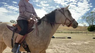 Szara Windy Day Ride in Arena! Nervous Rider Equestrian