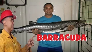 Biggest Barracuda in West Africa