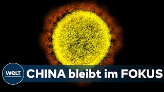 CHINA SCHREIT AUF: Corona-Ursprung - US-Geheimdienste schließen Laborunfall nicht aus