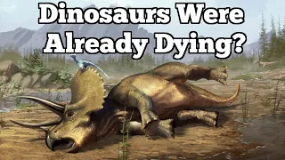 Were Dinosaurs Dying Or Thriving Before Their Extinction?