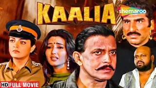 बहन की इज़्ज़त बचाने लड़ गया भाई दुनिया से | Mithun Chakraborty | Hit Hindi Action Movie -KAALIA (1997)