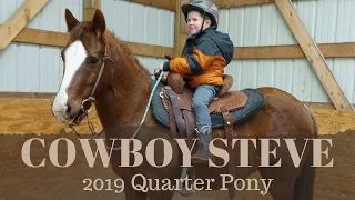 Cowboy Steve-2019 Grade Quarter Cross Pony- trail/breakaway/funday/all around