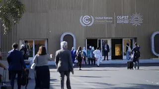 COP27: правозащитники возмущены мерами безопасности