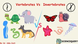 Vertebrates vs Invertebrates