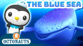 ​@Octonauts - The Blue Sea 🔵 |  World Whale Day 🐋 | 50 Mins Compilation | Underwater Sea Education
