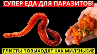 Супер-Еда Против Паразитов! Эти Продукты Изгонят Любых Глистов