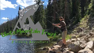 Uinta Mountain Trout | Fly Fishing for Brook Trout | Uinta Mountains, Utah