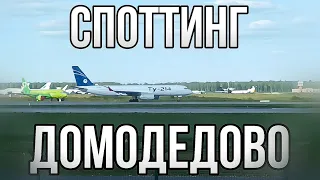 Споттинг самолётов в Домодедово 17.05.24! Ту-214 А380 и другие.#авиация #spotting