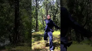 Enjoy the Tranquility#taichi #taijiquan #kungfu #wushu #sports #shorts