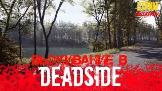 HillordPlay в DEADSIDE. ПРОДОЛЖАЕМ ВЫЖИВАТЬ НА СТРИМЕ. #6