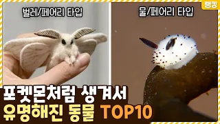 진화도 해!?!? 포켓몬같은 특징 때문에 난리난 실제 동물 TOP10