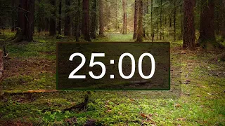 Countdown timer, 25 minutes with relaxing music for studying, reading, concentration or Yoga