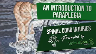 Paraplegic Definition, Explained, Causes, Recovery, Prognosis | Paraplegia | Spinal Cord Injury