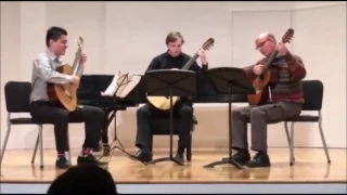 Theme song from "Cheers" (Guitar trio)