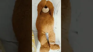 Teddy 🐻 bear so raha h#shorts #viral #ghost #scary #scarystories #scared #howtoentertain #trending