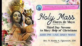 6:00 PM | FRIDAY OF THE SEVENTH WEEK OF EASTER | 17 MAY 2024 | FR. RANDY A. FIGURACION, SDB