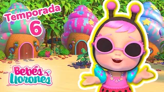 ¡LADY ESTÁ en TROPICAL ISLAND! 🌴🐠 NUEVA TEMPORADA 6 ⭐ BEBÉS LLORONES 💧 LÁGRIMAS MÁGICAS 💕 DIBUJOS 🎥