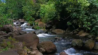 Calm the Soul and Relieve Fatigue with Gentle River Sounds Relaxing