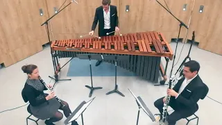 Zapping TRIO - Eric Sammut  - Marimba, clarinet, Bass clarinet