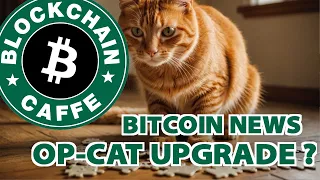 L'upgrade OP_CAT : cos'è e cosa fa   |  Blockchain Caffe