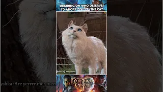 Larian please let us adopt this cat