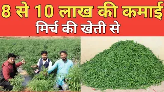 Mirch ki kheti से एक एकड़ में 8 से 10 लाख की कमाई | chilly farming - Janta ka raj