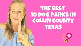 How to Find the Best Dog Parks in Collin County Texas